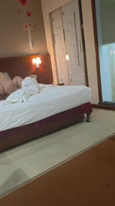 情人姐姐