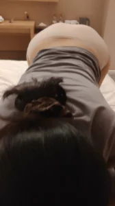 寻找南昌爱吃肉棒的小母狗